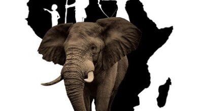 Tlou Mogale Foundation