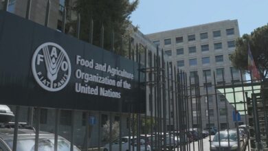 Food and Agriculture Organisation