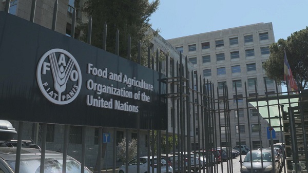 Food and Agriculture Organisation