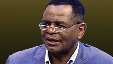 Businessman Mutumwa Mawere