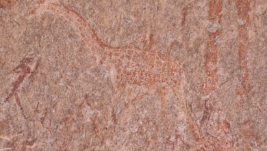 Silozwane Cave Paintings