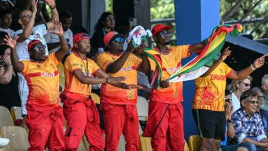 Zimbabwe cricket team supporters