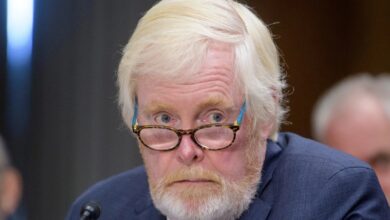 Interfering on local affairs United States ambassador to South Africa, Leo Brent Bozell III