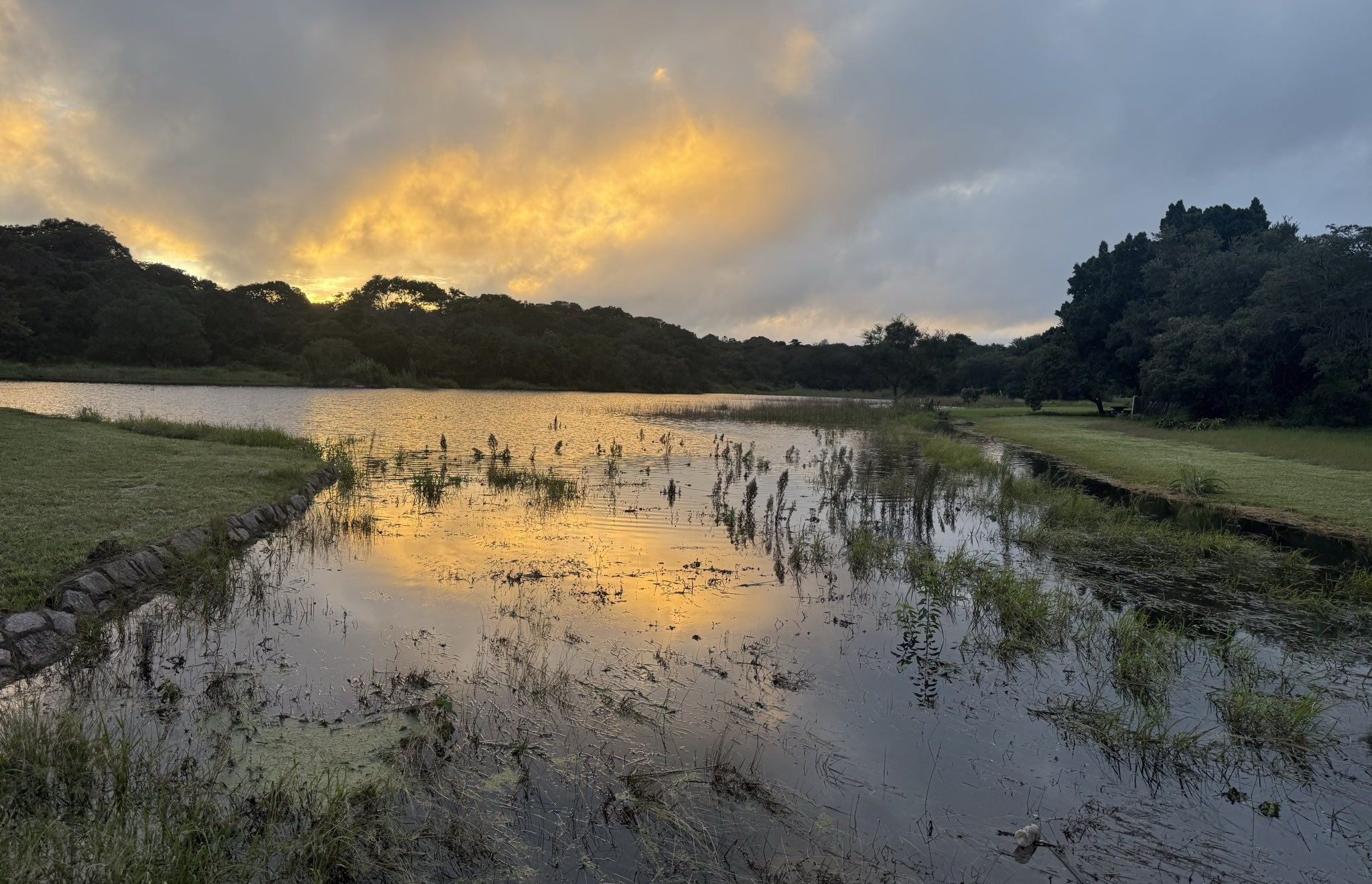 Bulawayo dams spill, Coltart delighted