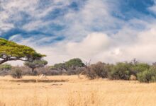 Nkayi, Matabeleland North, attracts many visitors