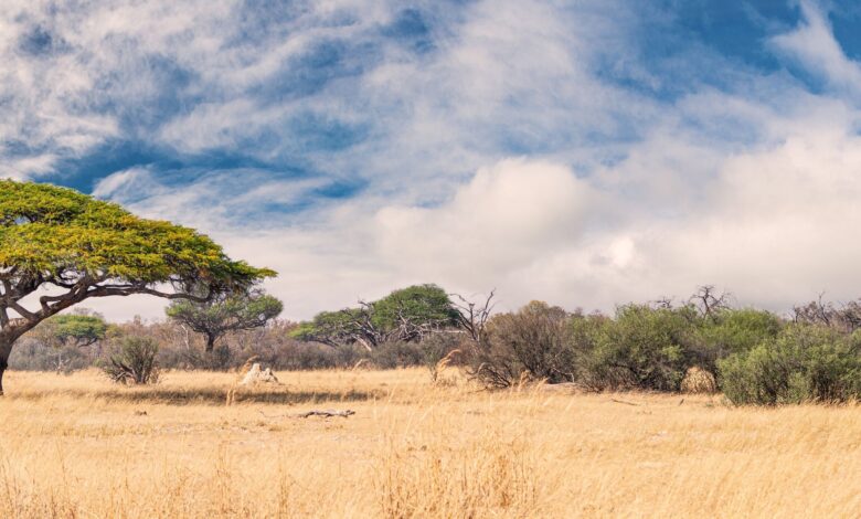 Nkayi, Matabeleland North, attracts many visitors