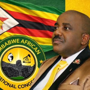 ZANC slams Beitbridge irregularities