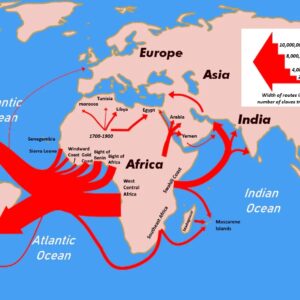 Diaspora power for Africa